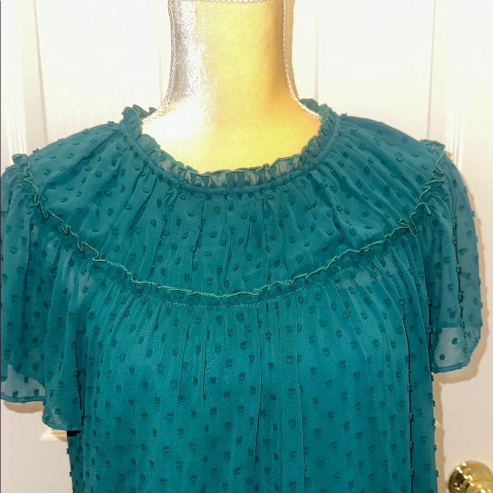 J.Crew Ruffled Women's Top - Picture 3 of 12